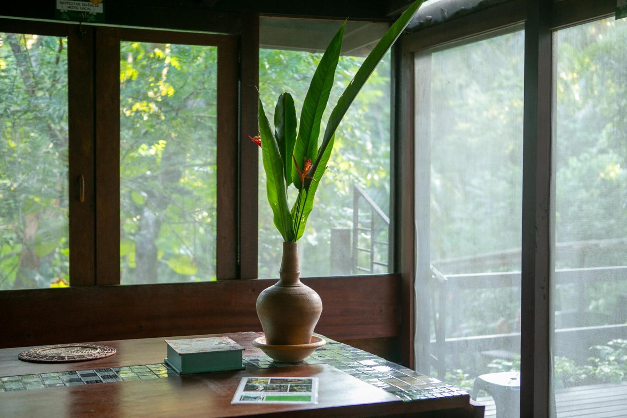 Recanto Dos Passaros Zen Apartamentos Em Meio De Natureza 프라이아 두 포르테 외부 사진